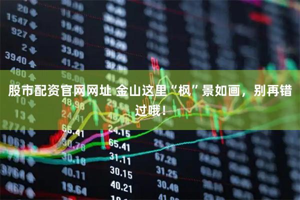 股市配资官网网址 金山这里“枫”景如画，别再错过哦！
