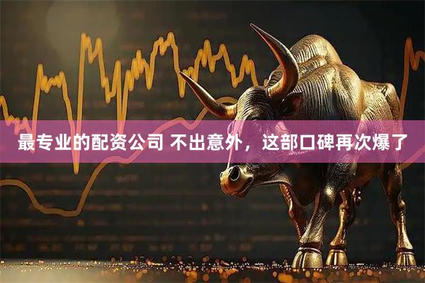 最专业的配资公司 不出意外，这部口碑再次爆了